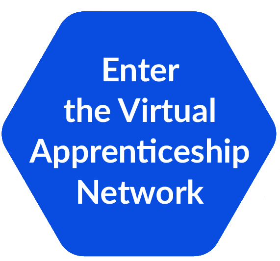 Enter the Virtual Apprenticeship Network